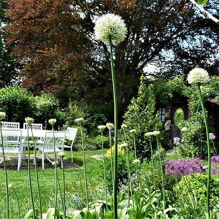 Bed and Breakfast Le Jardin Des Miroirs Esneux Exterior foto